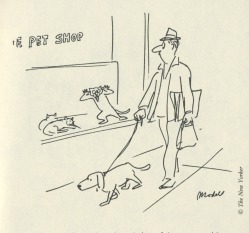 The Birth of A Notion: Cartoonists Have Their Say